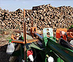  Maschine zum Holz-Spalten - zur effektiven Herstellung von Kaminholz, Spaltholz, Brennholz 