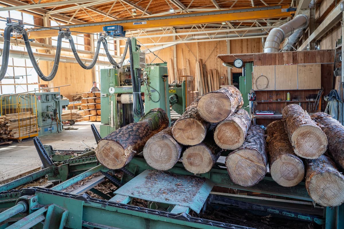 Bestückung Bandsaege in Sägewerk