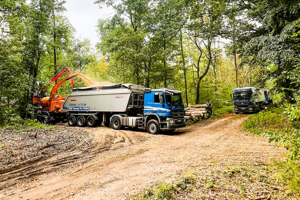 Hackschnitzel Produktion im Wald