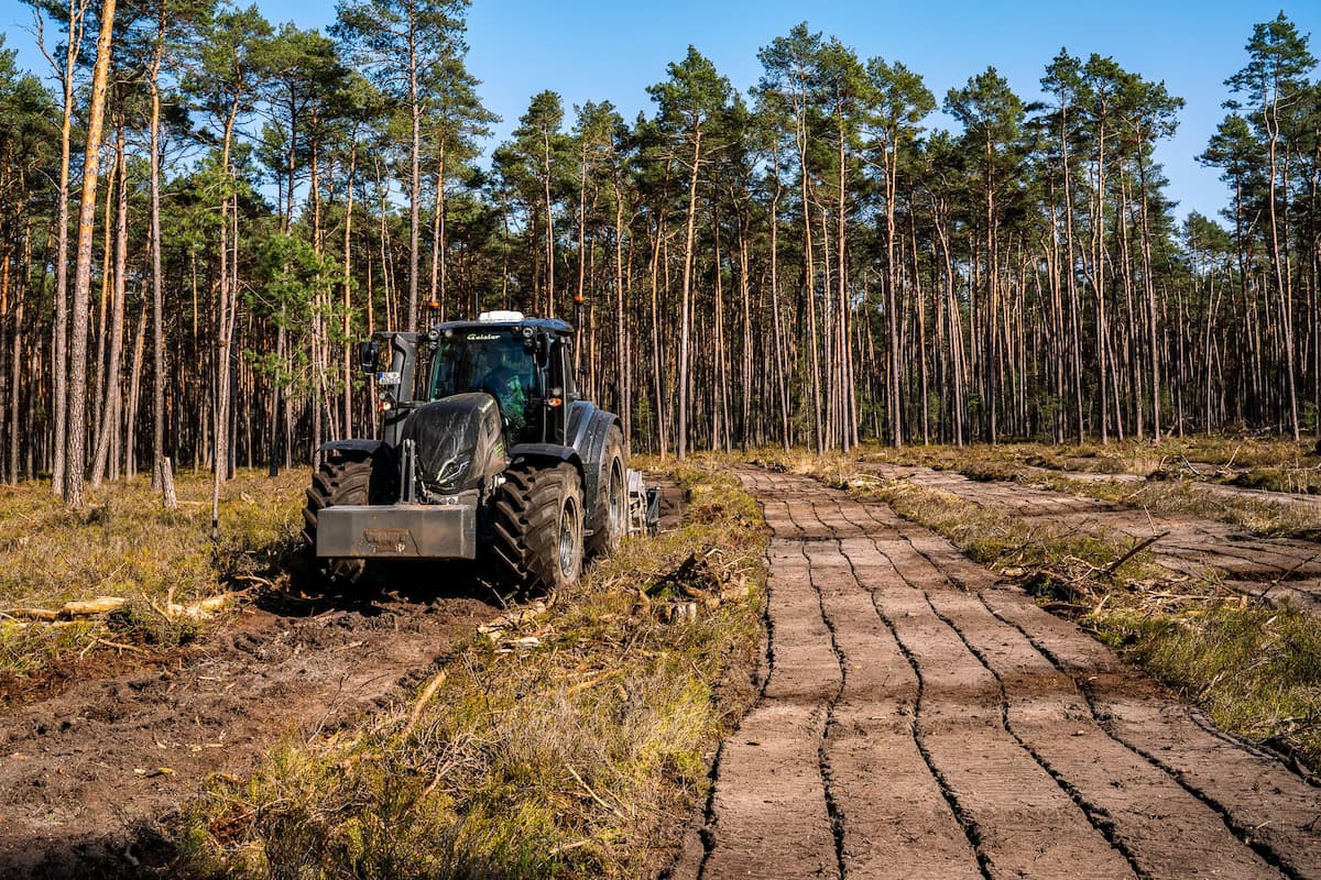 Waldboden fränsen mit Traktor vor Aufforstung