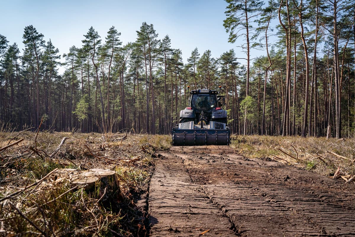 Waldboden fränsen mit Traktor